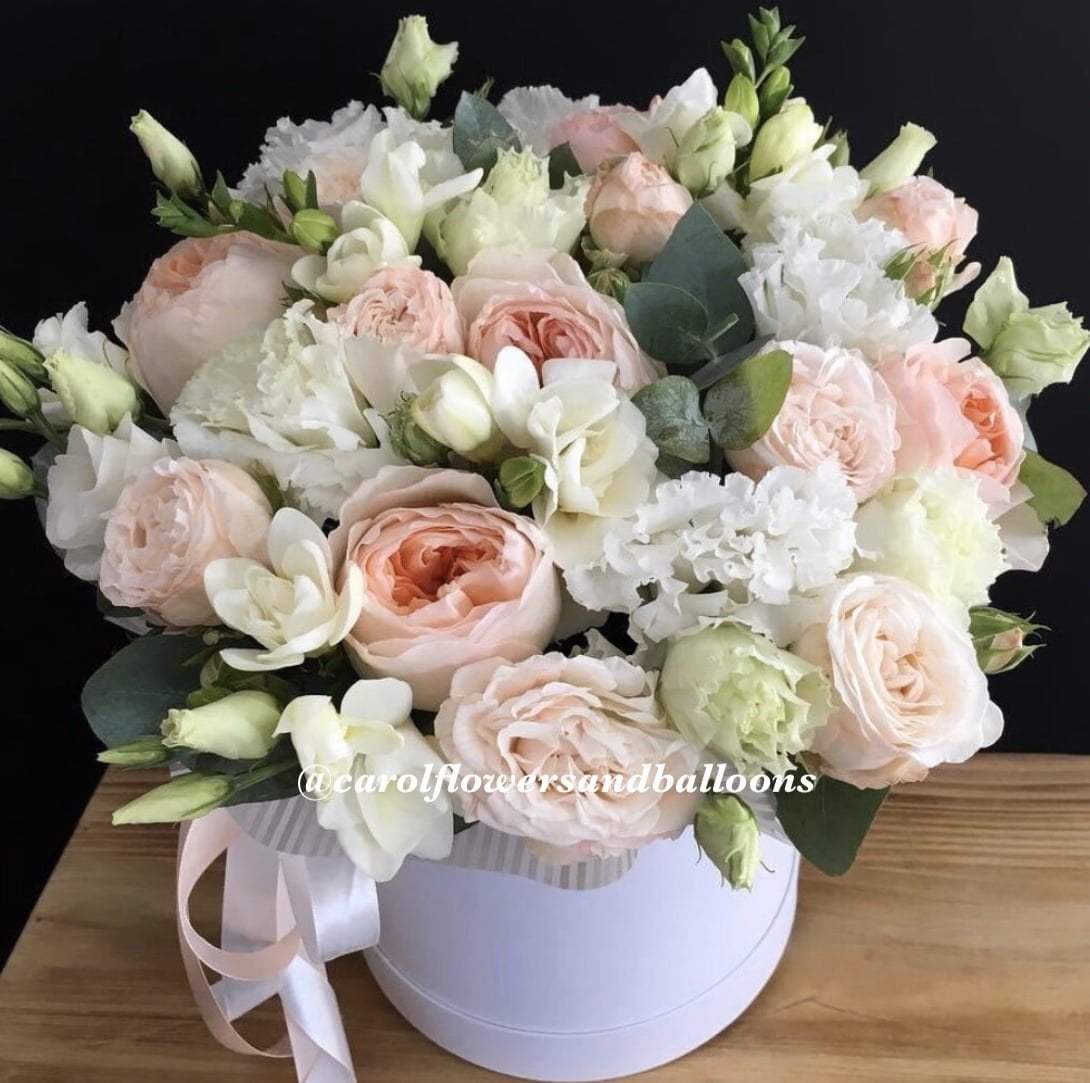 Bella Rose Bella Rose Carol Flowers and Balloons