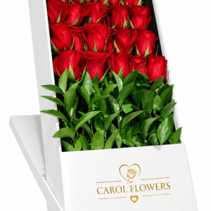Rose Reveal