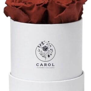 preserved roses. eternal roses