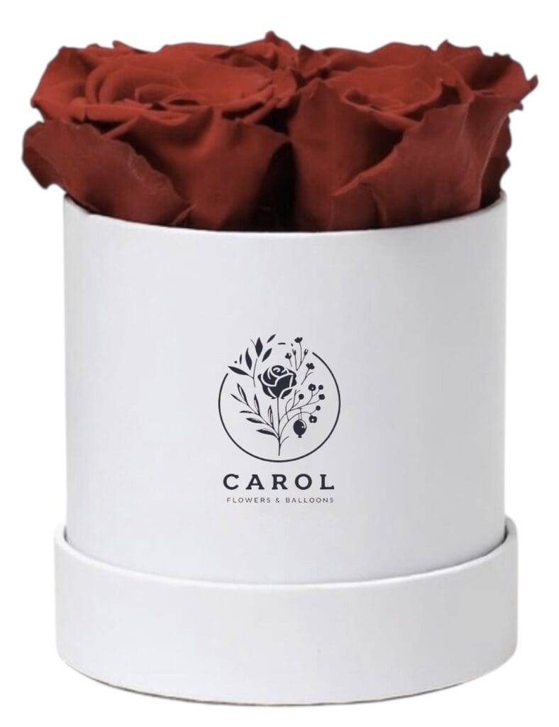 preserved roses. eternal roses