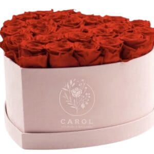 preserved roses. eternal roses