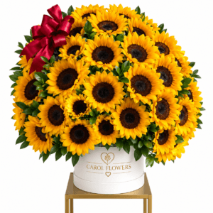 Sunny Days – Sunflower Box