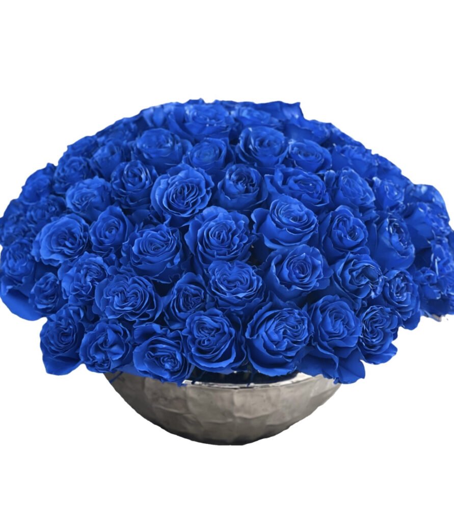 Blue Roses