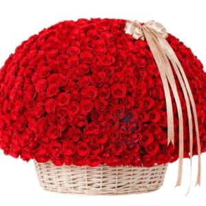 red roses basket